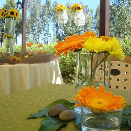 Farm stay Le Terre Di San Domenico Villasmundo