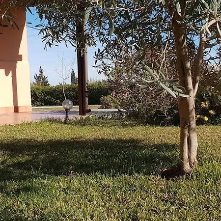 Le Terre Di San Domenico *
